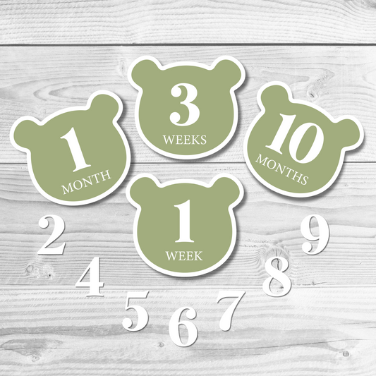 Teddy Bear Milestone Disks