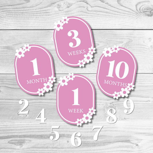 Daisy Milestone Disks