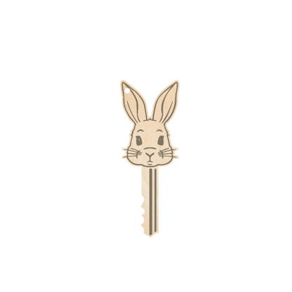 Easter Bunny Stop Here Door Sign